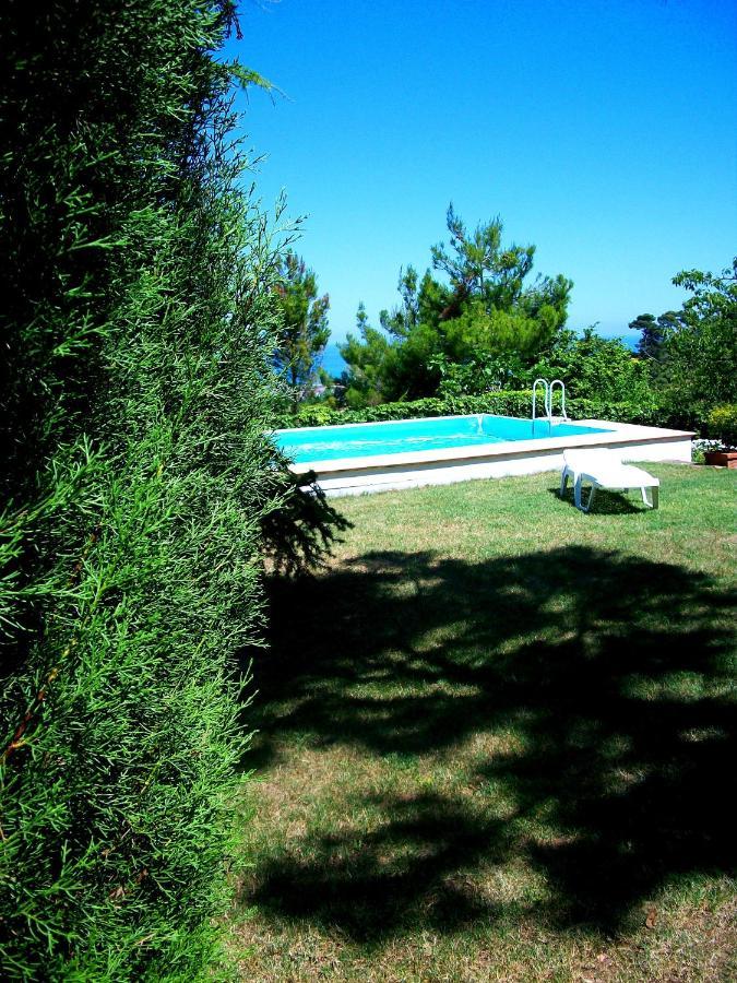 B&B Luna Blu Montesilvano Marina Exteriör bild