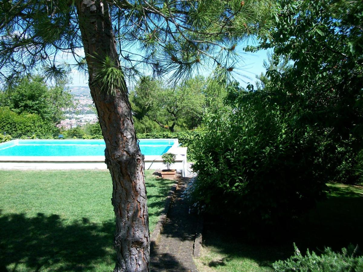 B&B Luna Blu Montesilvano Marina Exteriör bild